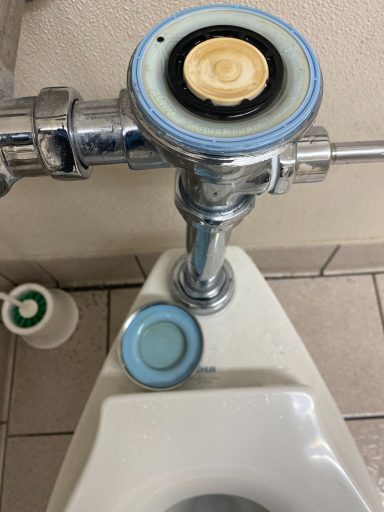Sloan sensor replaced